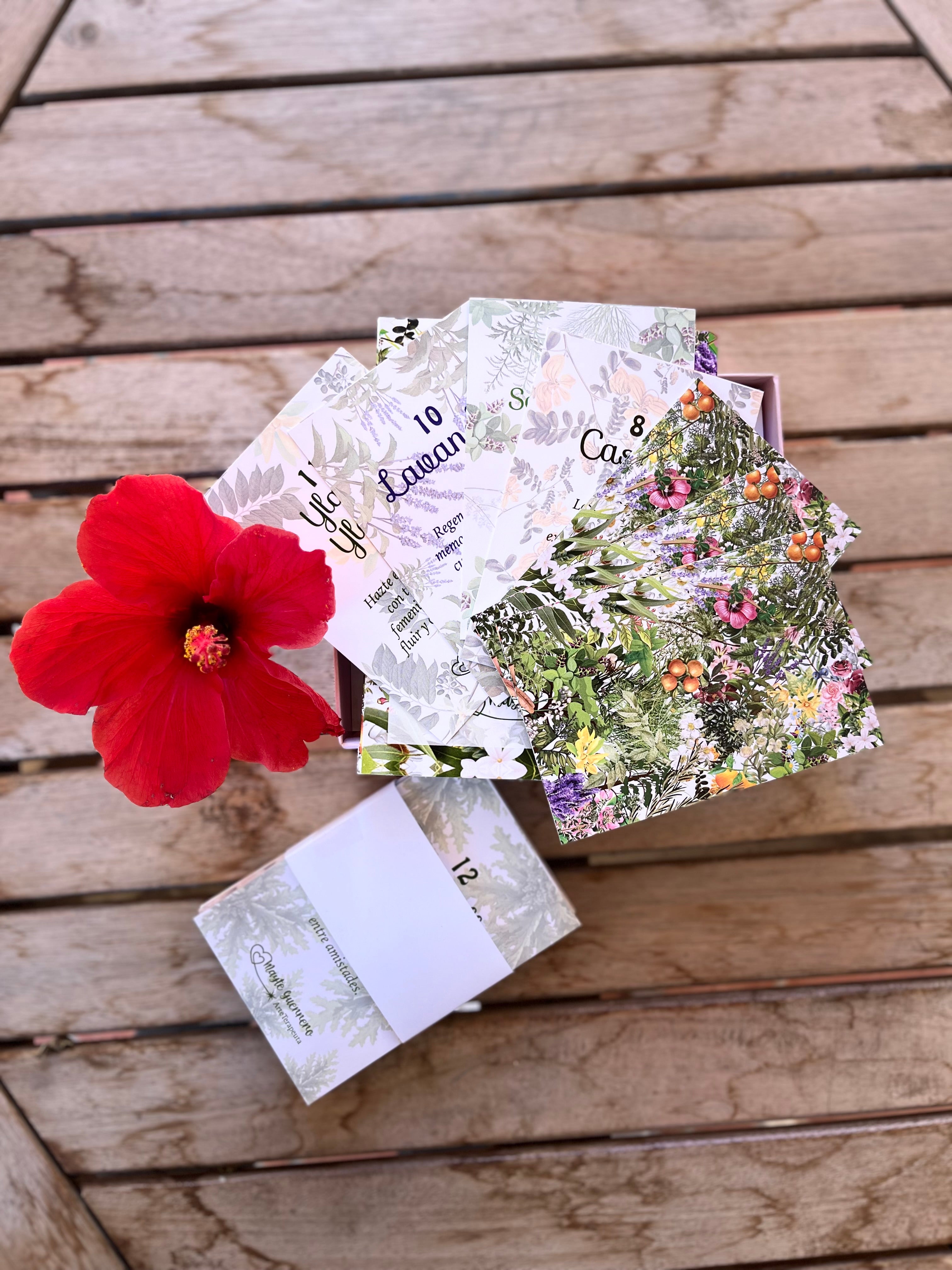 Oráculo de Aceites Esenciales